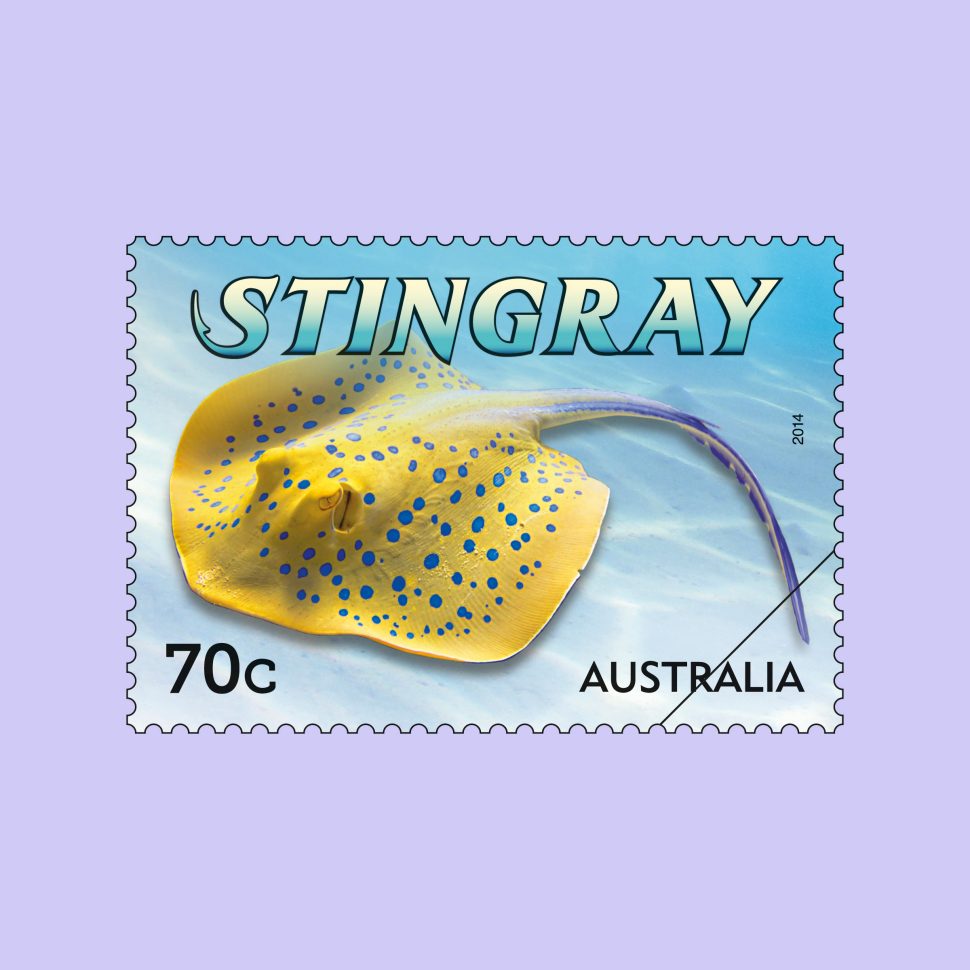 Stingray