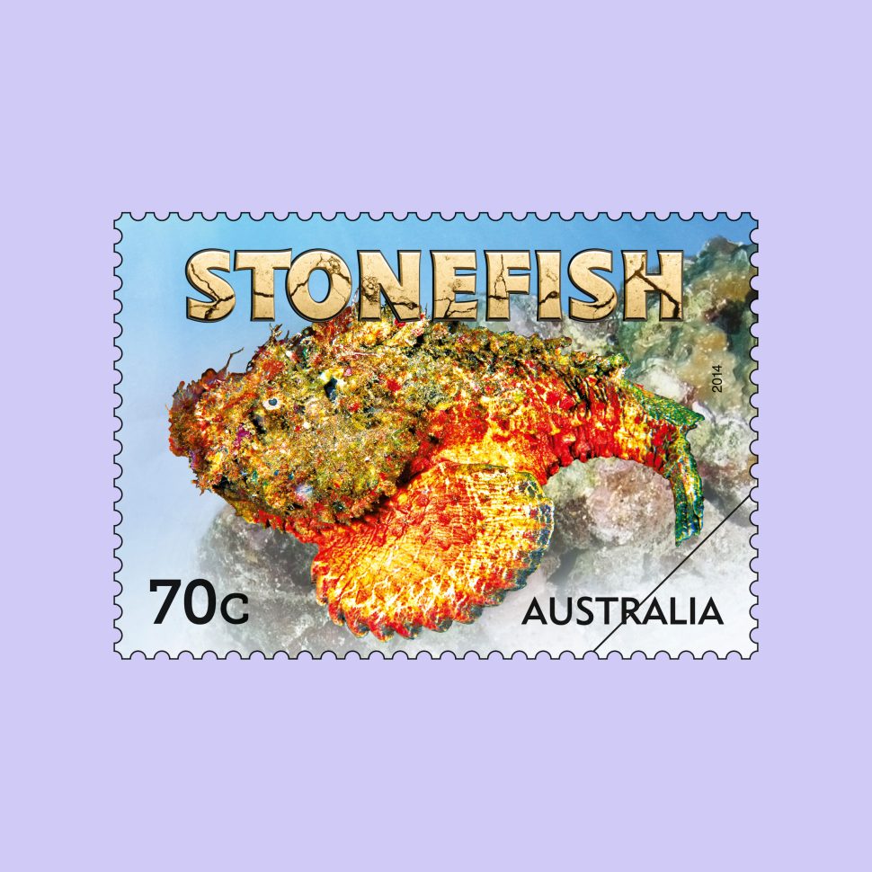 Stonefish