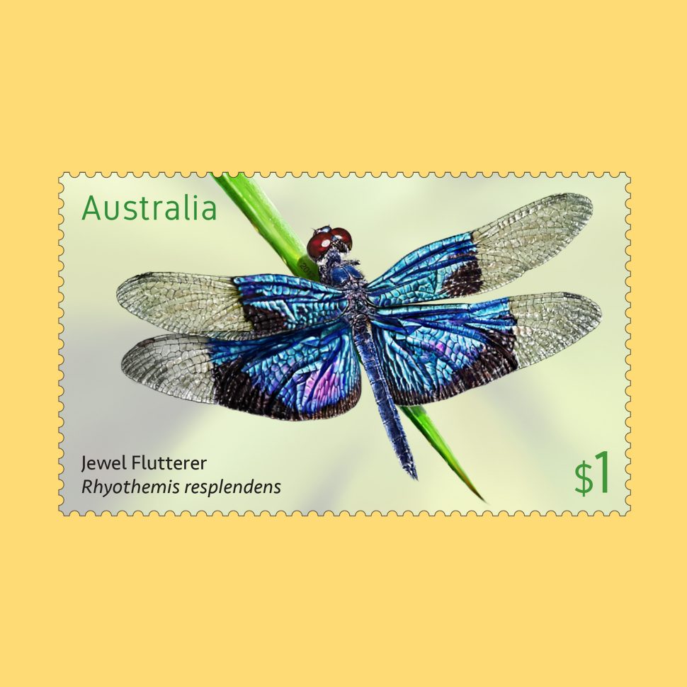 Endangered Wildlife SCM 2016 Northern Quoll 50c stamp