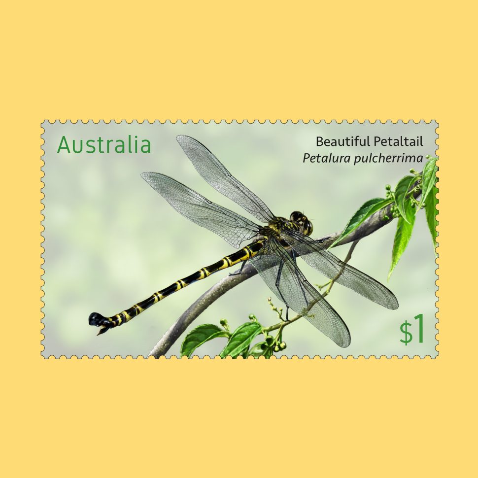 Endangered Wildlife SCM 2016 Southern Corroboree Frog $1 stamp