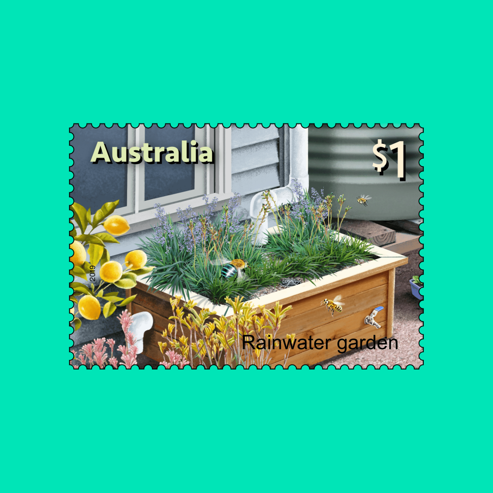 Nautilus (Nautilus pompilius)