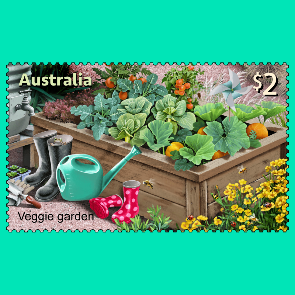 Olive Sea Snake (Aipysurus laevis)