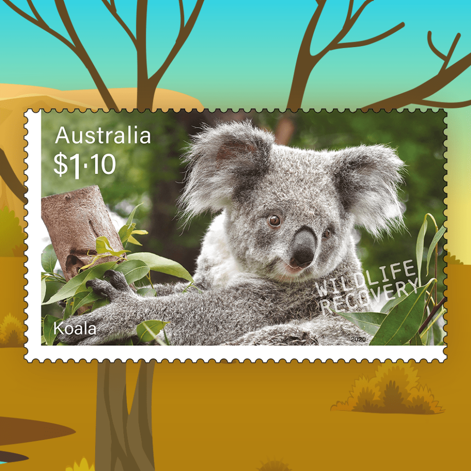 Koala