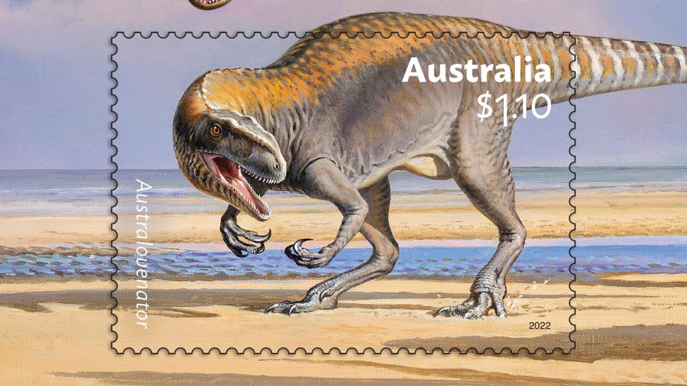 Australovenator