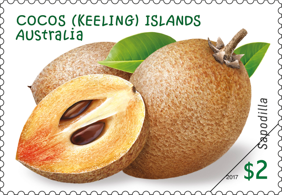 $2 Sapodilla