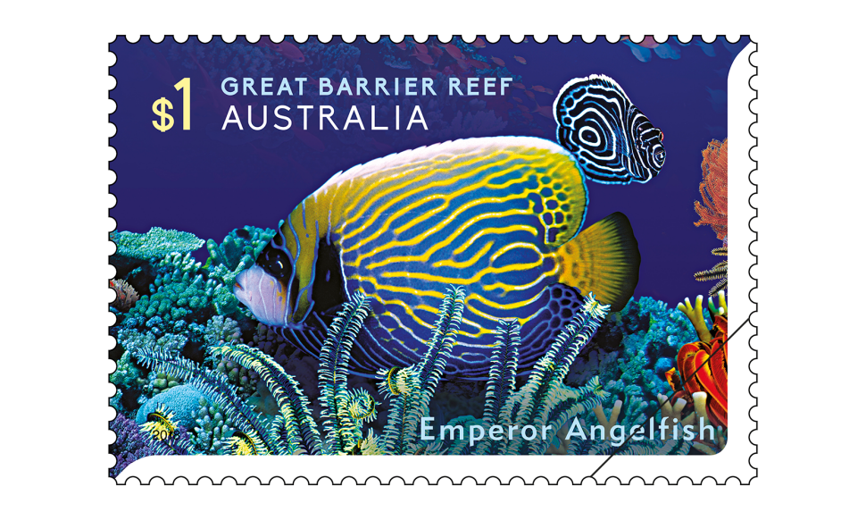 $1 Emperor Angelfish (Pomacanthus imperator)