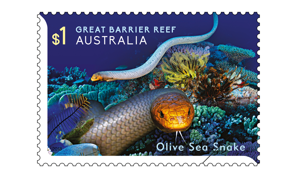 $1 Olive Sea Snake (Aipysurus laevis)