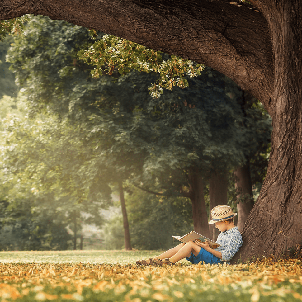 Australian Legends of Children’s Literature