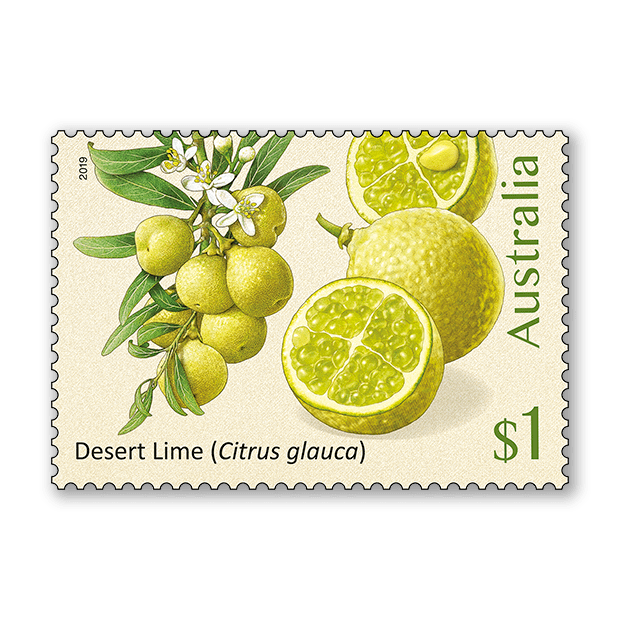Bush Citrus