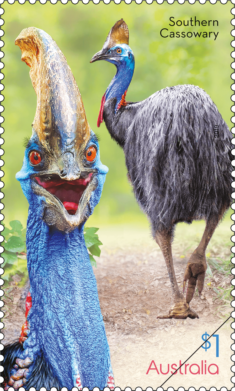$1 - Southern Cassowary (Casuarius casuarius)
