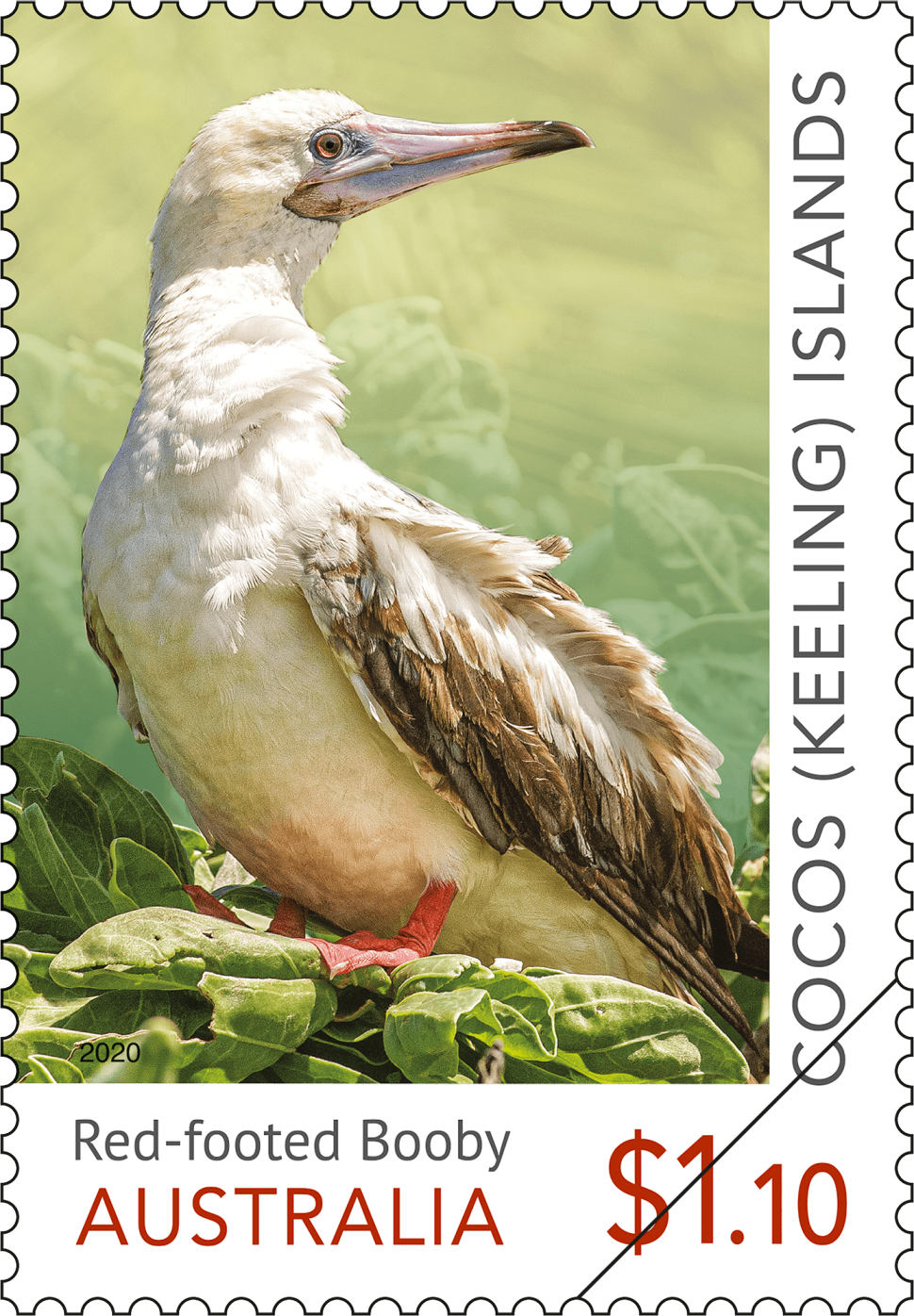 $1.10 Red-footed Booby (Sula sula rubripes)