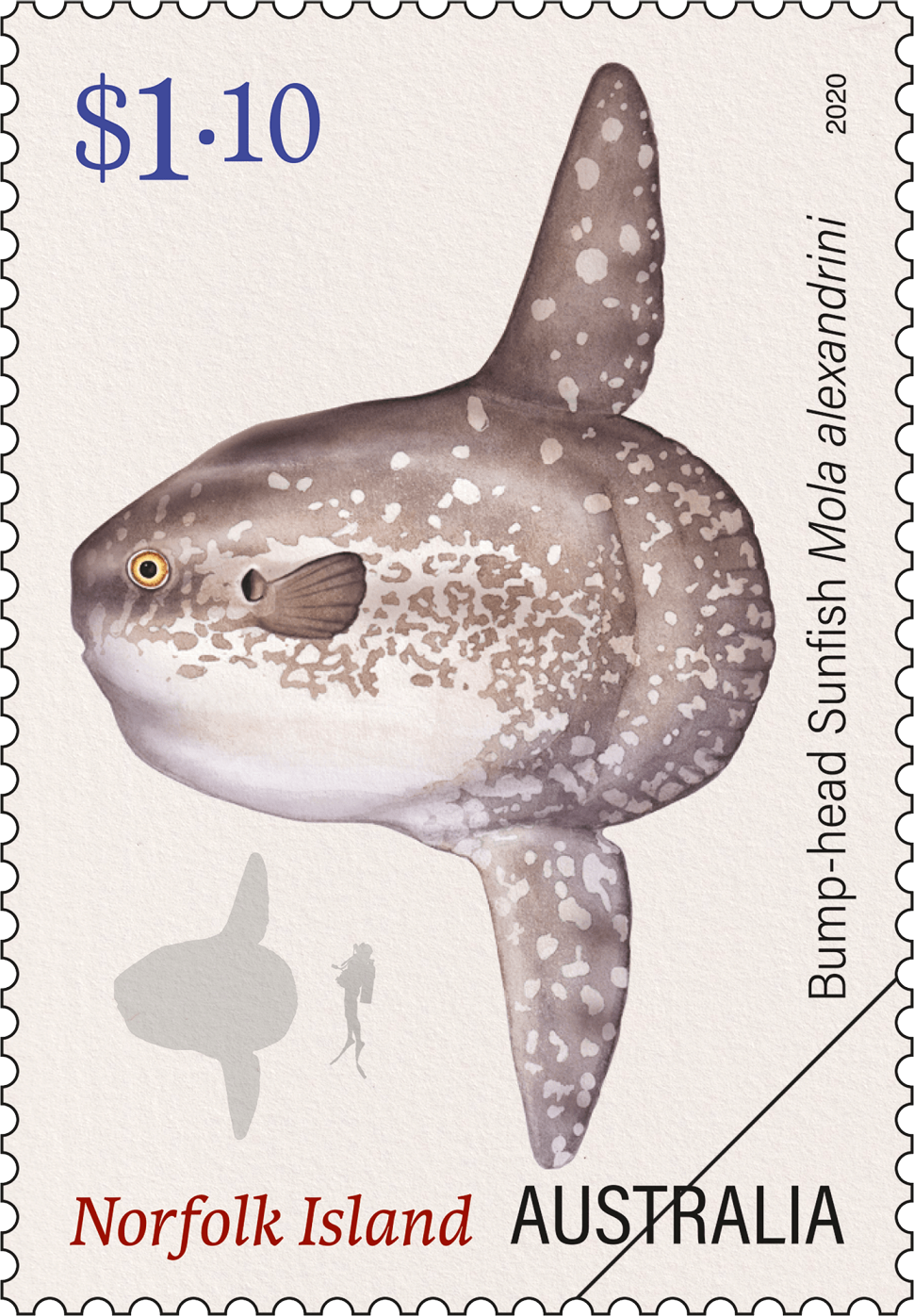 $1.10 Bump-head Sunfish