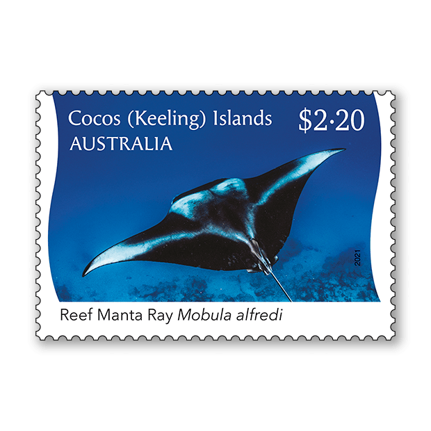 Cocos (Keeling) Islands: Reef Manta Ray
