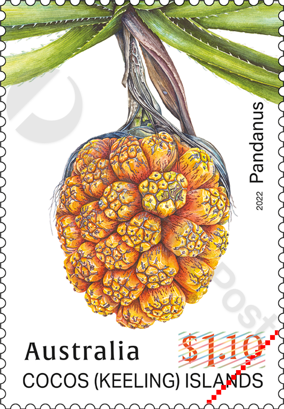 $1.10 Pandanus fruit on tree