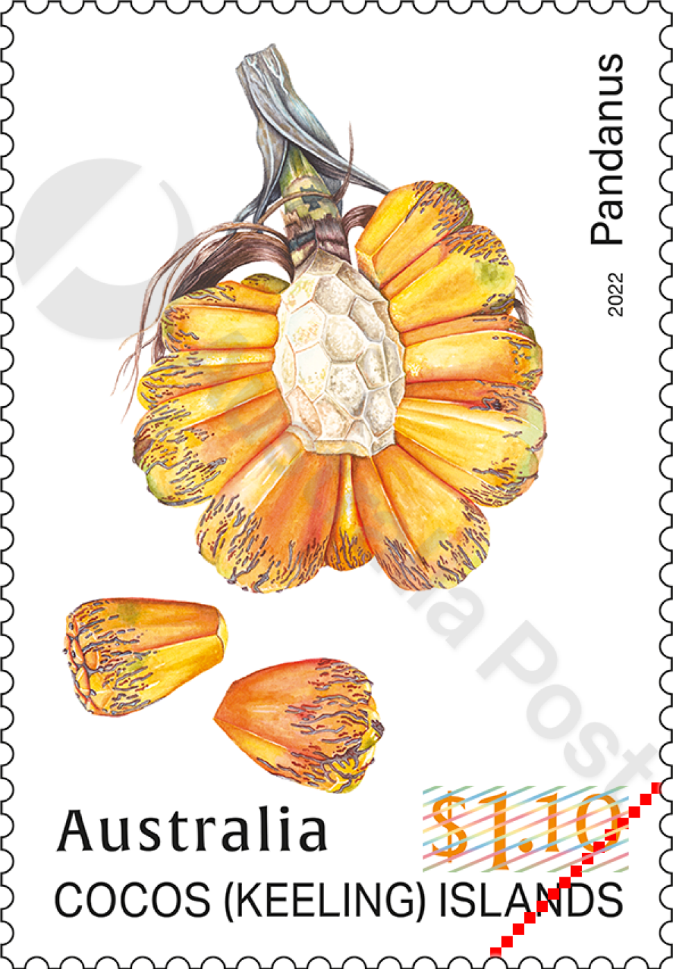 $1.10 Pandanus segmented fruit