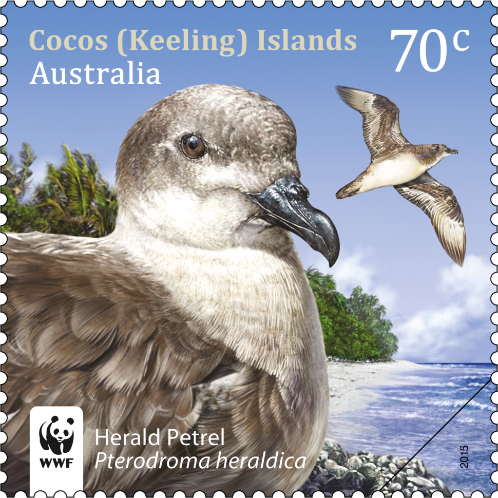 70c Herald Petrel, Pterodroma heraldica
