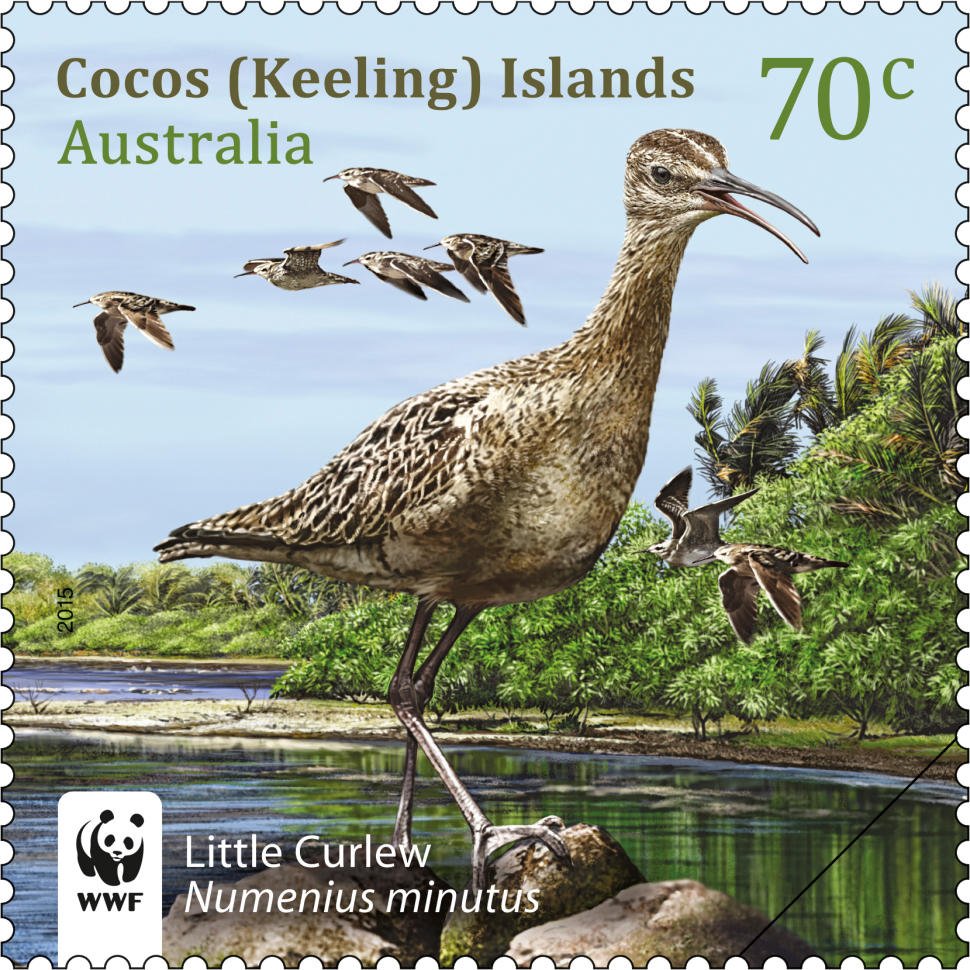 70c Little Curlew, Numenius minutus